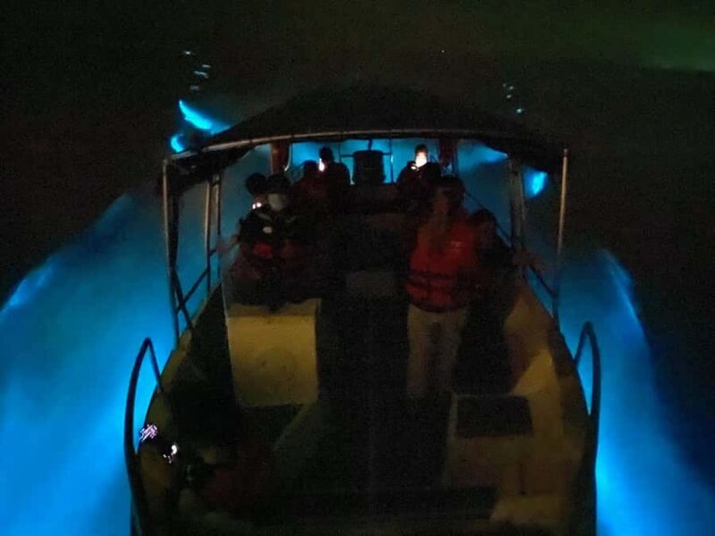Magical Blue Tears Night Boat Tour in Kuala Selangor - What to Expect on the Blue Tears Night Boat Tour
