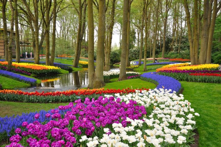 magical-delft-and-the-keukenhof-estate-tulips-galore