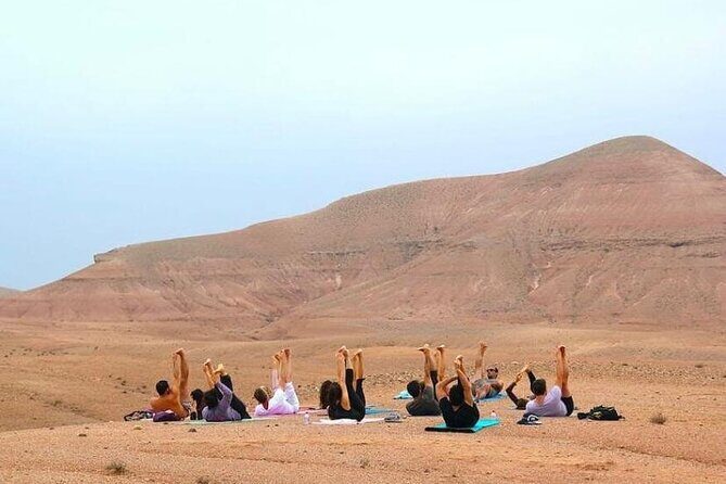 magical dinner camel ride &Quade biking and sunset - Who Should Consider This Tour?