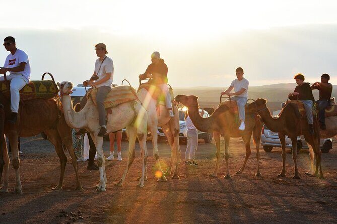 Magical Dinner Experience & Sunset Camel Ride in Marrakech Desert - Who Is This Tour Best For?