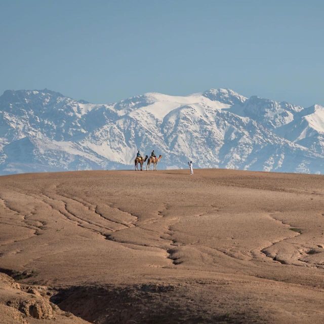 Magical Dinner In Agafay Desert Under the Stars & Camel rid - Final Thoughts
