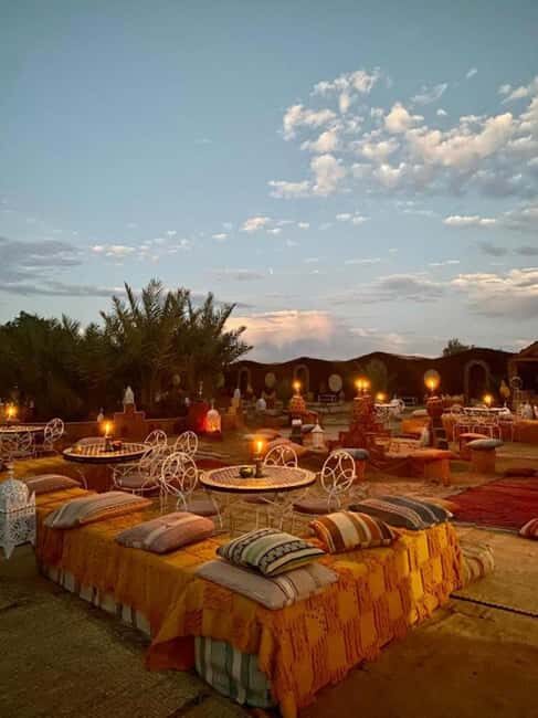 Magical Dinner Under the Stars with Camel Ride & Quad Bike - What Travelers Are Saying