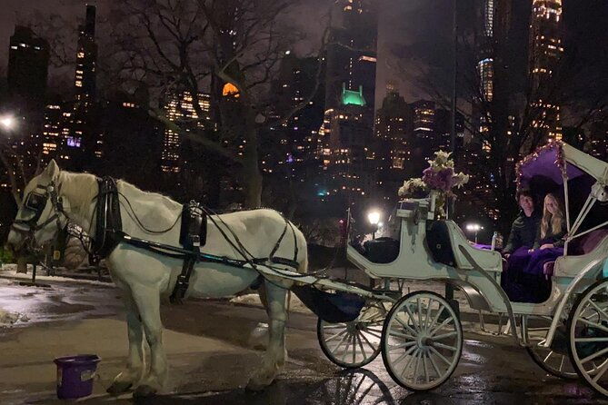 magical-evening-horse-drawn-carriage-through-nyc-65-min-2