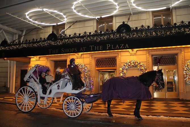 magical-evening-horse-drawn-carriage-through-nyc-65-min-2
