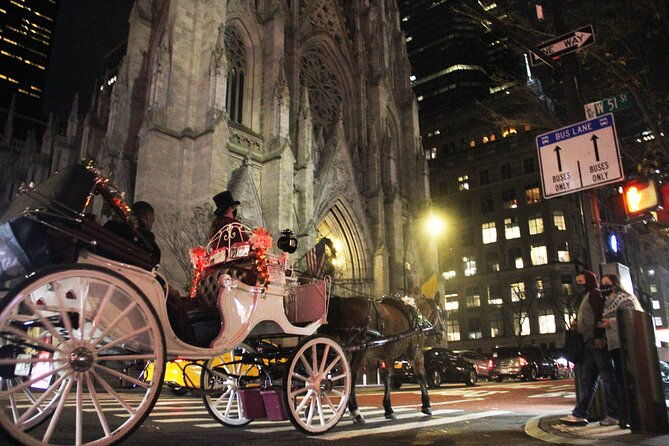 magical-evening-horse-drawn-carriage-through-nyc-65-min