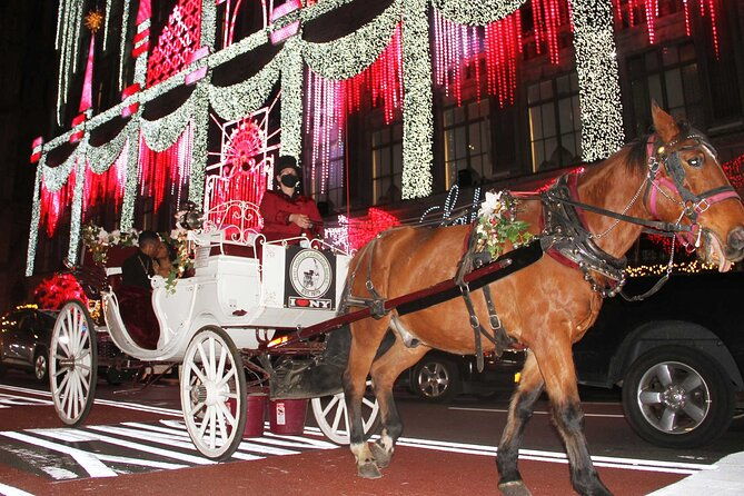 magical-evening-horse-drawn-carriage-through-nyc-65-min
