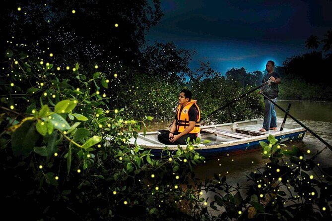 Magical Fireflies Tour - Exploring Kuala Lumpur’s Hidden Gem: The Magical Fireflies Tour
