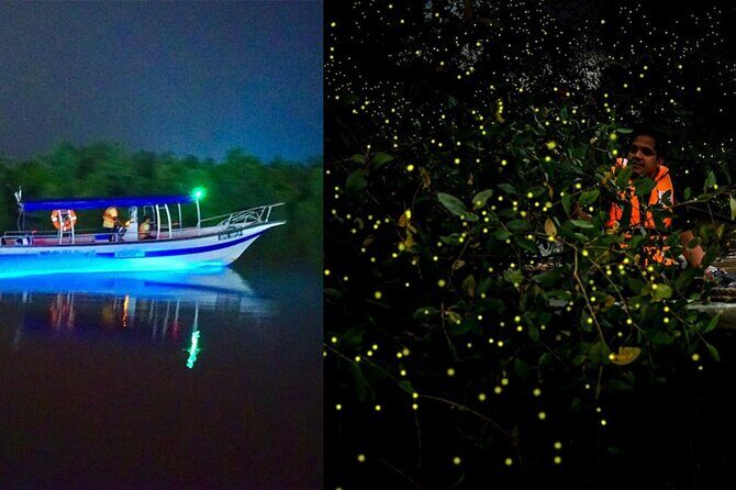 Magical Fireflies Tour - Final Thoughts