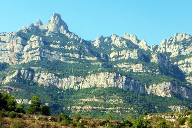 magical-montserrat-with-a-private-guide-family-friendly-trip
