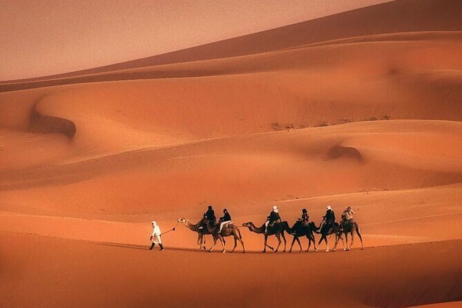 Magical Morocco 8 day - Exploring the Itinerary: What You Can Expect