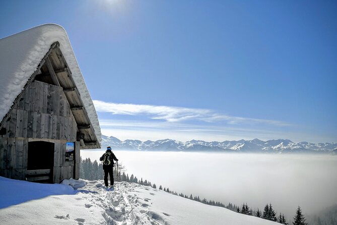 magical-snowshoeing-in-bohinj-valley