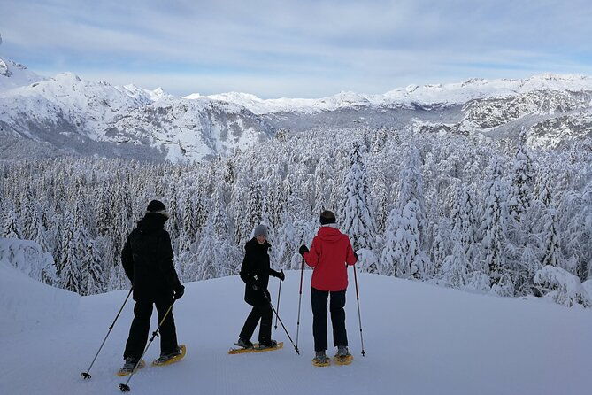 magical-snowshoeing-in-bohinj-valley