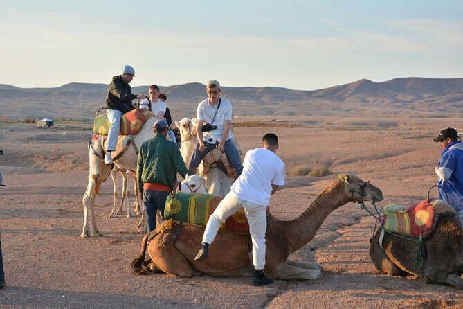 Magical Sunset, Camel ride & Private Dinner in Agafay Desert - What We Loved: The Highlights