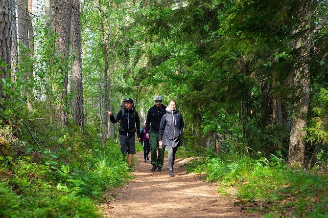 magical-taiga-forest-hike-with-lunch-and-transportation