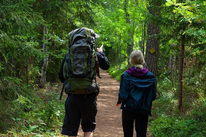magical-taiga-forest-hike-with-lunch-and-transportation