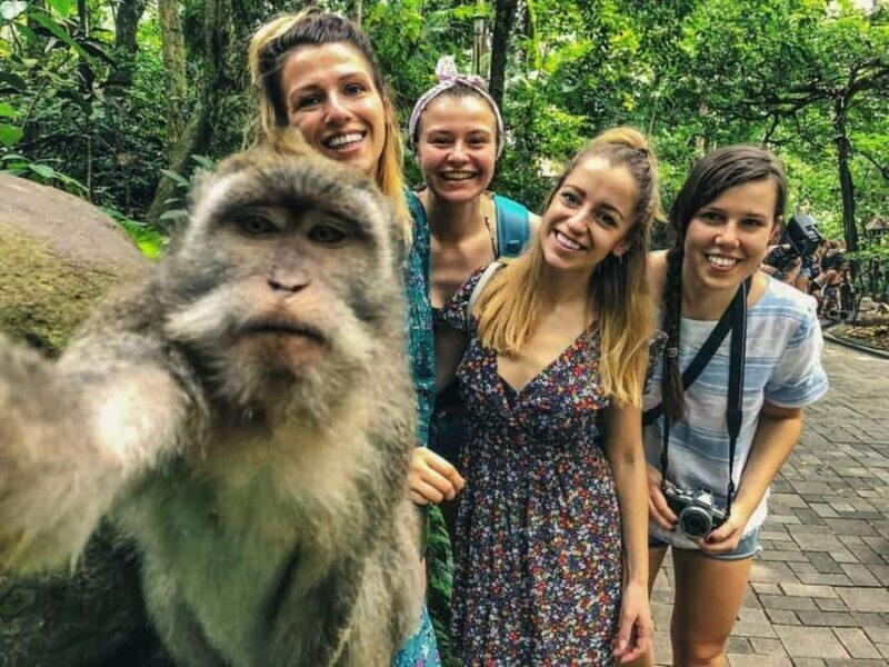 Magical Ubud: Temples, Rice Terraces & Waterfalls - Final Thoughts