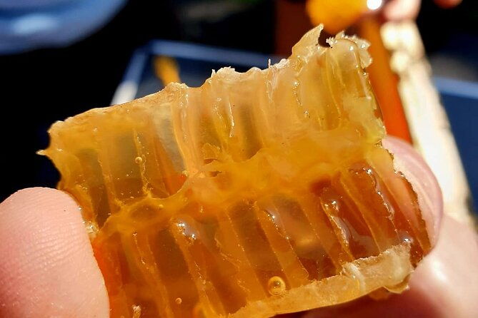 magical-world-of-beekeeping-on-sao-miguel-azores-private-tour