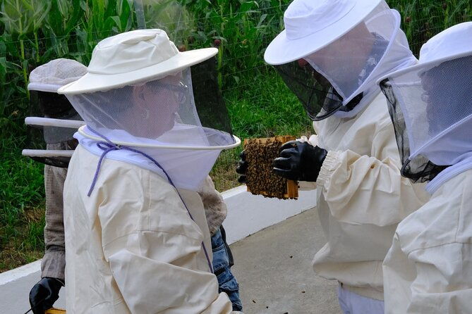 magical-world-of-beekeeping-on-sao-miguel-azores-private-tour