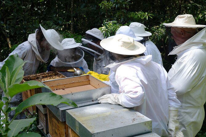 magical-world-of-beekeeping-on-sao-miguel-azores-private-tour