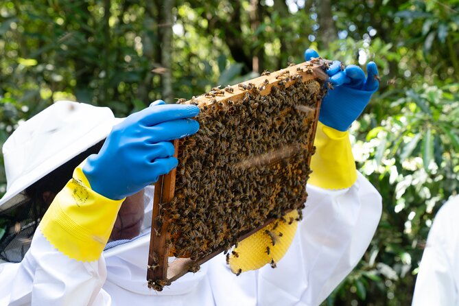 magical-world-of-beekeeping-on-sao-miguel-azores-private-tour