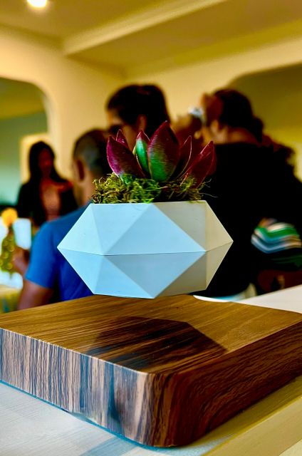magnetic-floating-terrarium-workshop