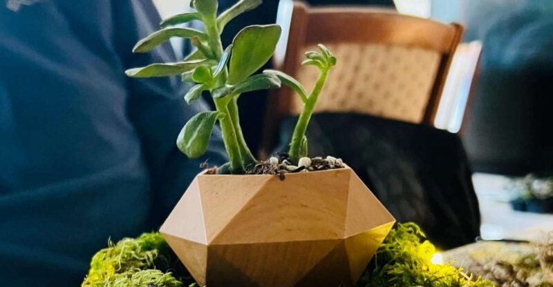magnetic-floating-terrarium-workshop