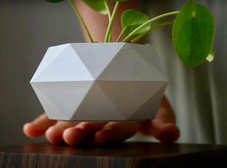 magnetic-floating-terrarium-workshop