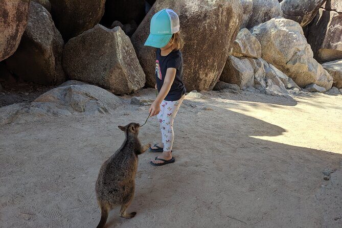 Magnetic Island Afternoon Tour - An In-Depth Look at the Magnetic Island Afternoon Tour