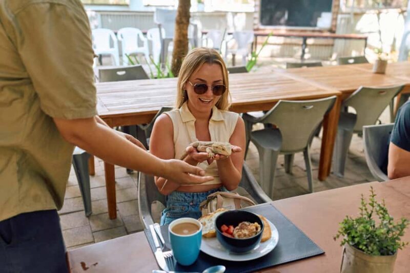 Magnetic Island: Breakfast with Koalas Experience - Key Points