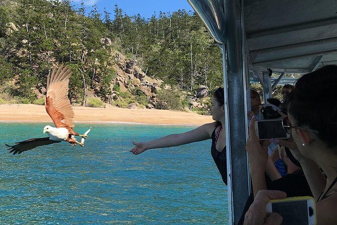 Magnetic Island Discovery Tour with Snorkeling & Paddle Boarding - FAQ