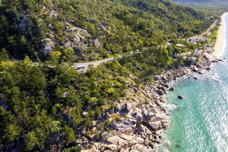 Magnetic Island: Private Guided Tour including Koalas - A Closer Look at the Tour Experience