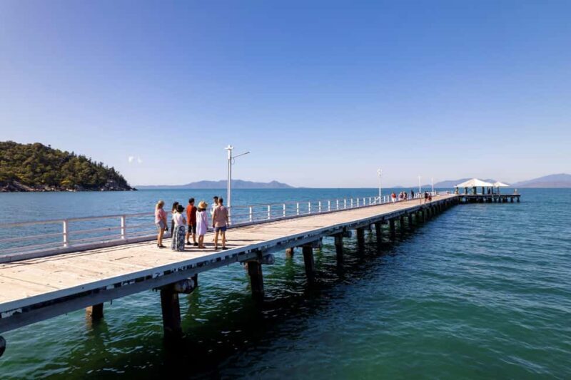 Magnetic Island: Private Guided Tour including Koalas - Practical Details and What You Need to Know
