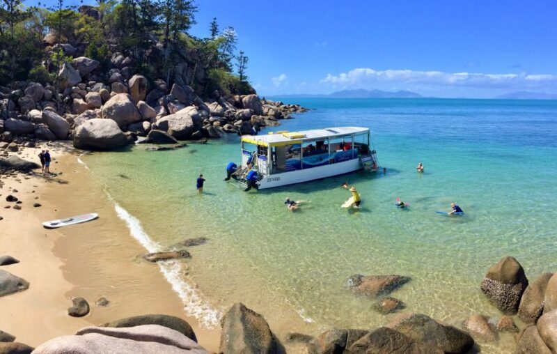 Magnetic Island: Snorkel Discovery Tour - Key Points  