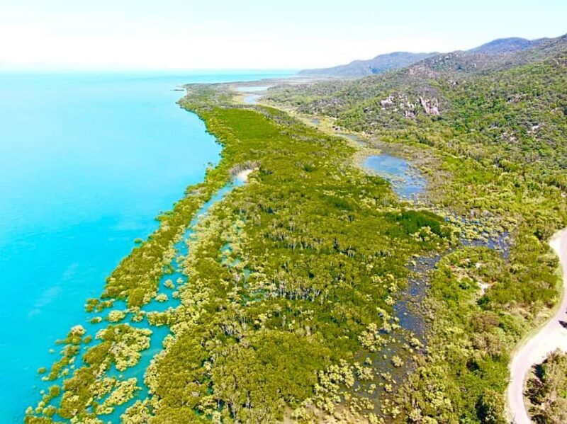 Magnetic Island: West Coast Eco Adventure Bus Tour - What to Expect from This Eco Adventure