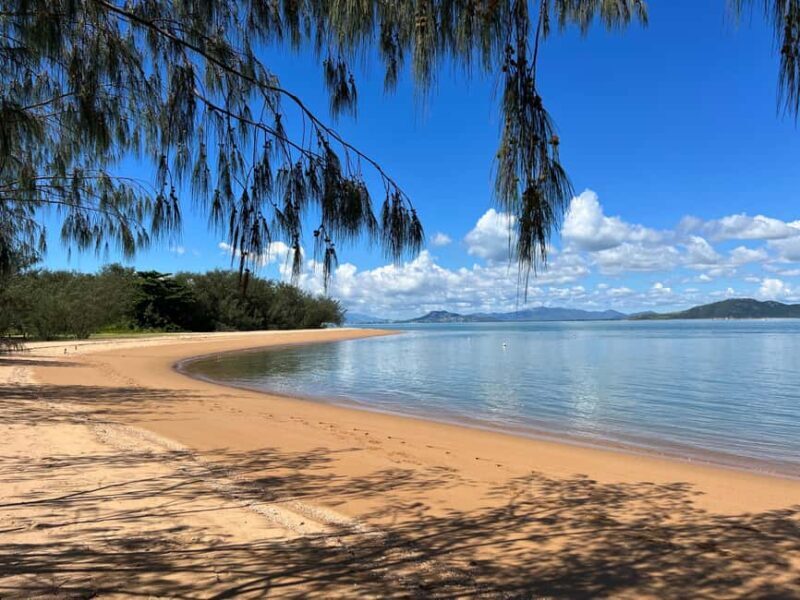 Magnetic Island: West Coast Eco Adventure Bus Tour - The Sum Up