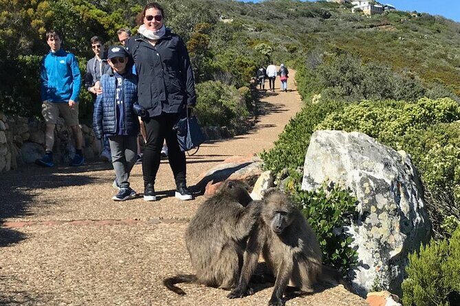 Magnificent Cape Peninsula Private Tour - Cape of Good Hope: The Iconic Photo Spot
