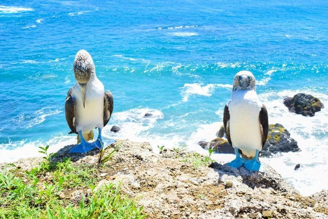 magnificent-machalilla-park-tour