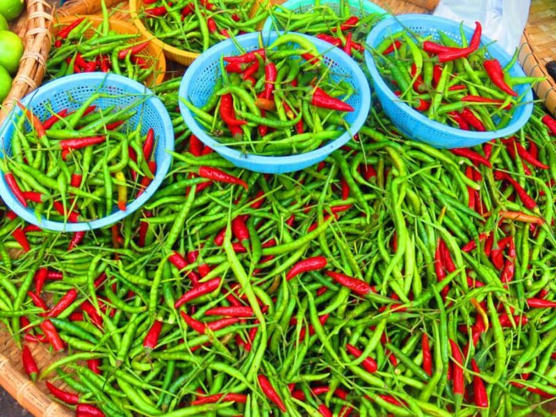 Mahachai & Maeklong Railway Market Day Tour From Bangkok - Key Points