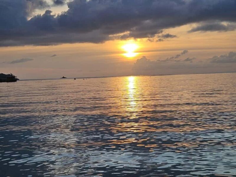 Mahe: Daybreak Cruise Escape with Snorkeling - The Snorkeling Experience: Underwater Wonders