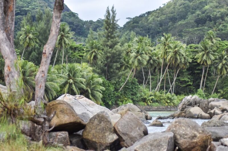Mahe Island: Private Mahe Island Tour - Guides & Personal Service