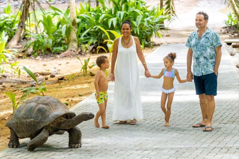 Mahé: Wild South Discovery Trip with Local Lunch - A Detailed Look at the Mahé Wild South Discovery Tour