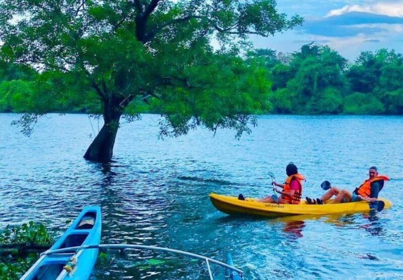 Mahiyanganaya: Sorabora Lake Kayaking Tour with Pickup - Why Choose the Sorabora Lake Kayaking Tour?