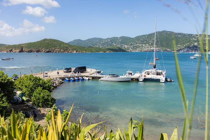maho-bay-turtle-snorkel-with-lunch-and-bar-at-frenchmans-reef
