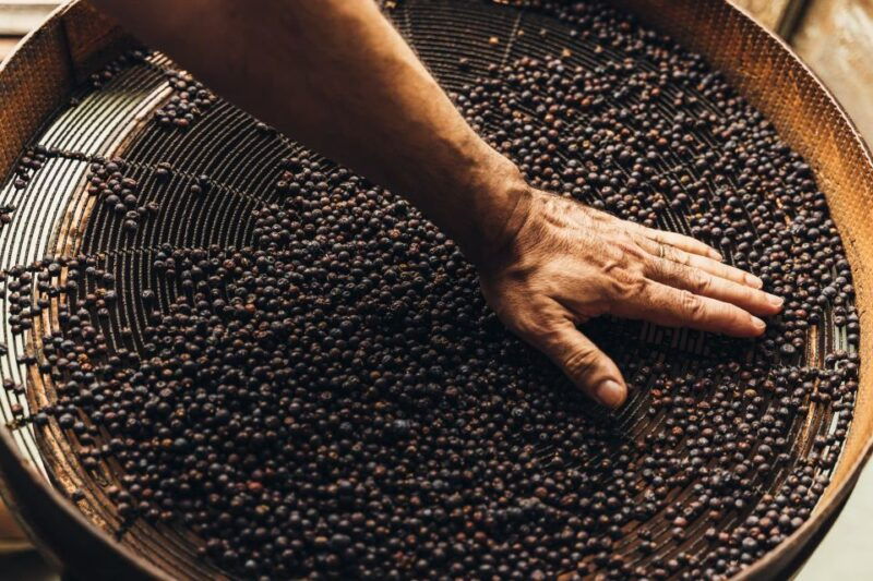 mahon-gin-distillery-tour-with-tasting-appetizers