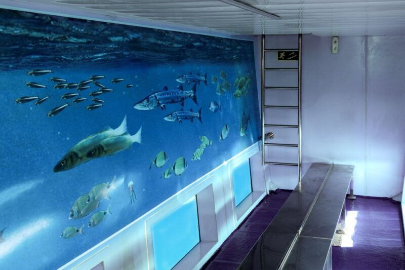 mahon-harbor-boat-tour-with-underwater-viewing-commentary
