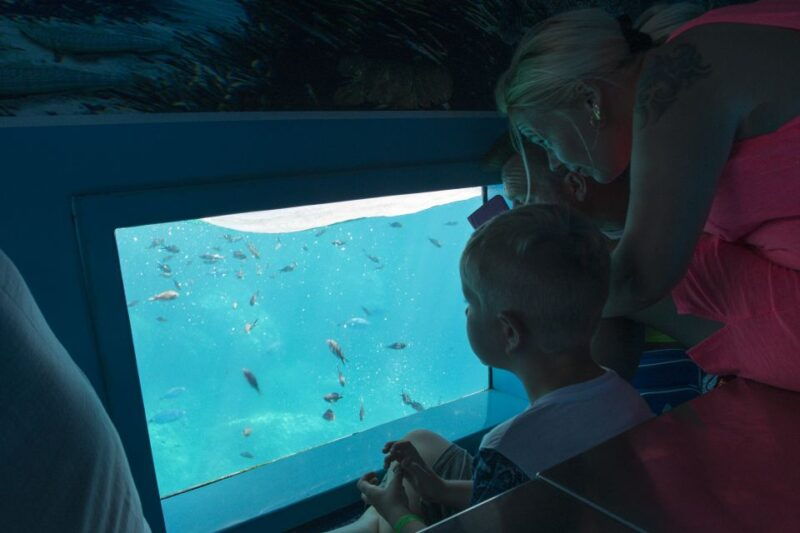 mahon-harbor-boat-tour-with-underwater-viewing-commentary