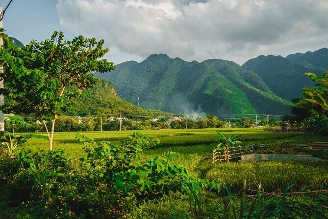 Mai Chau 1 Day Trip from Hanoi with Biking - What’s Included and What’s Not