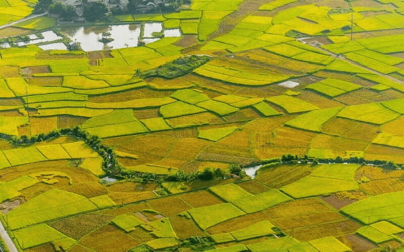 Mai Chau: 2-Day Tour with Local Ethnic Delicacies - Day 2: Culture, Nature, and Scenery