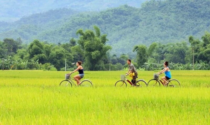Mai Chau: 2-Day Trip with Trekking, Cycling, Food & Homestay - Key Points