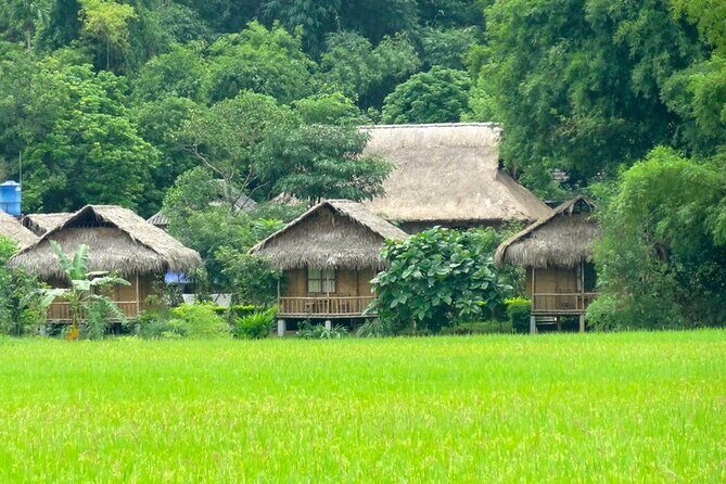 Mai Chau Full Day Tour From Hanoi - Key Points